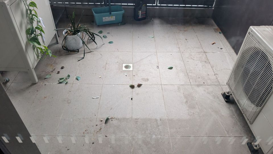 ๐ฟ Balcony Refresh - Before cleaning